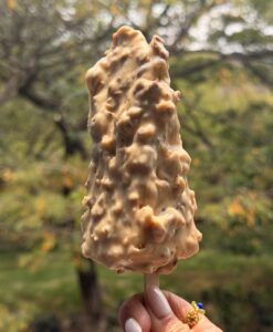 MyD Delivery Product Image